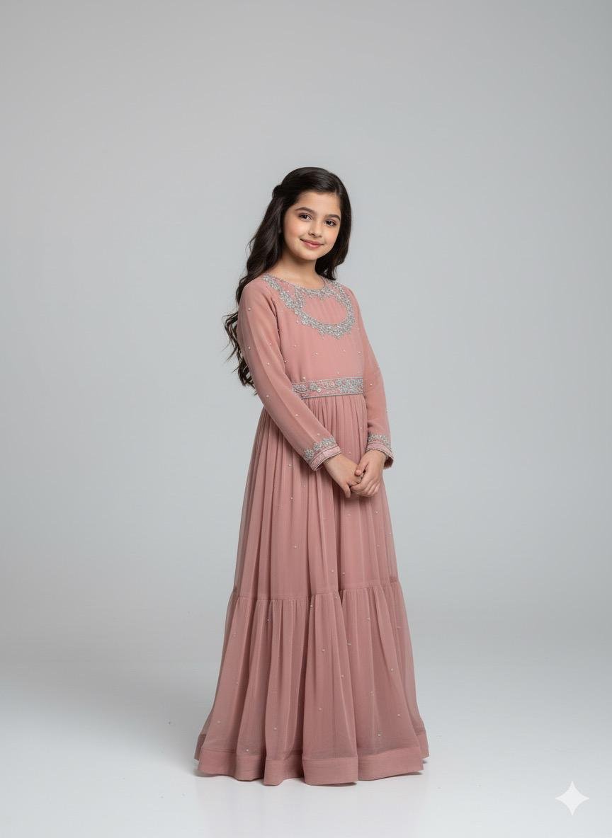 Hand-Embroidered Chiffon Frock - Image 4