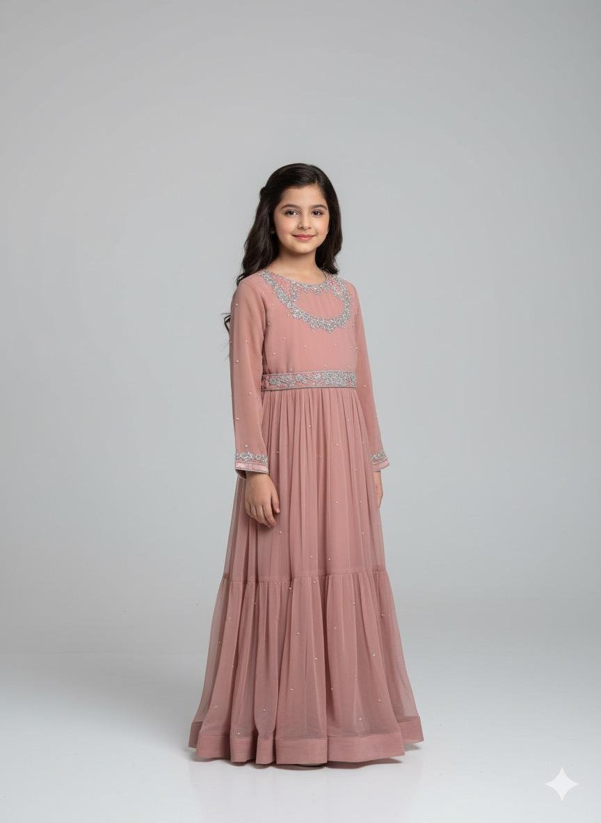 Hand-Embroidered Chiffon Frock - Image 3